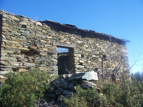 http://sculcaracciu.blogzoom.fr/192894/in-cullendu-per-u-boscu-u-pagliaghju-d-Alexis/