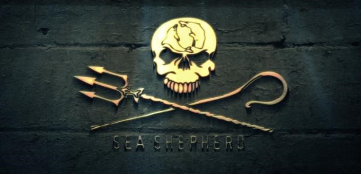 seasheperd12a