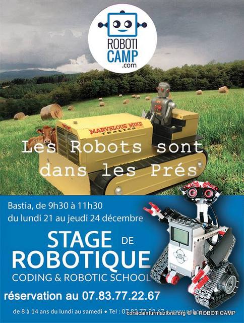 stageRobotiqueBastia2015